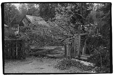 Whidbey Island People and Places